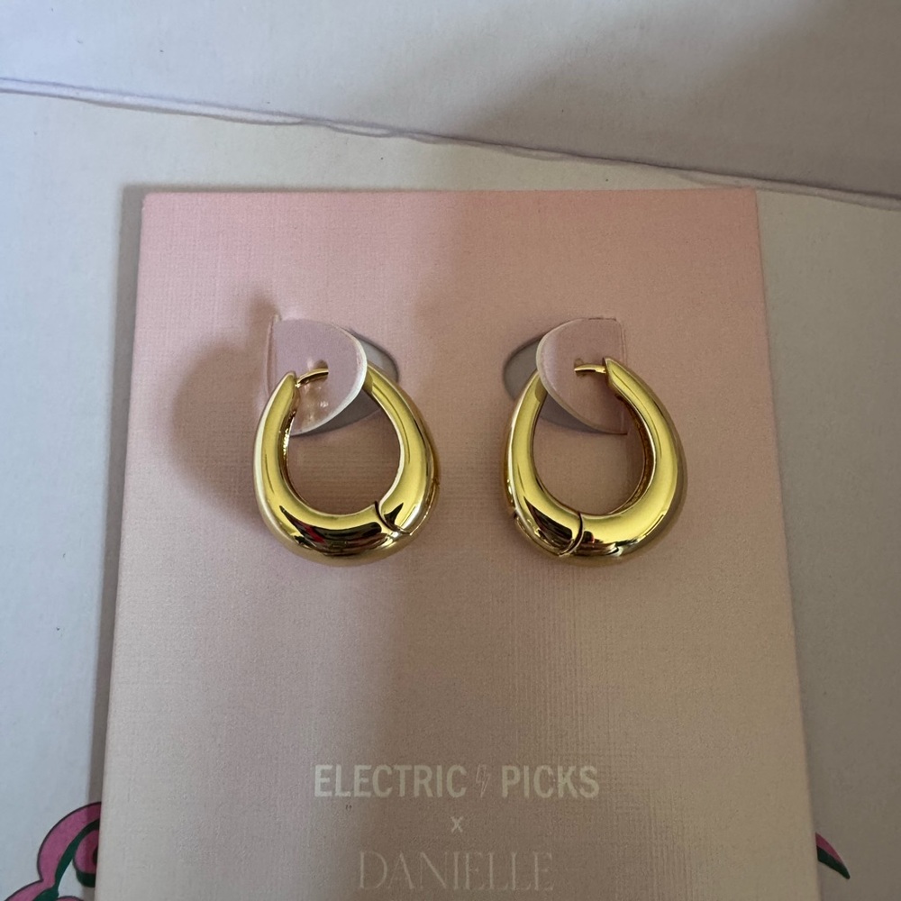 Electric Picks x Danielle Eilers Capable Hoop Gold Earrings
